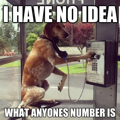 a dog inside the payphone making a call photo with text - I have no idea what anyones number is