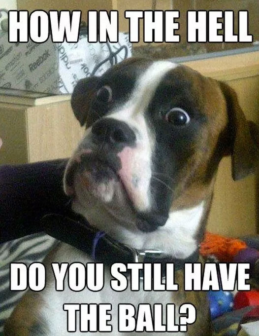 A boxer dog with its surprised face photo with text - How in the hell do you still have the ball?