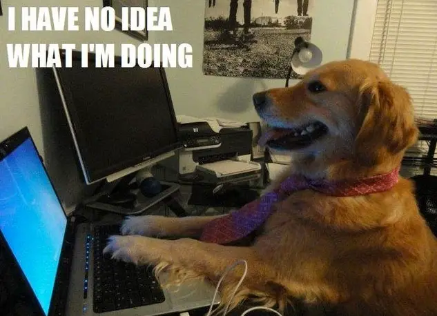 a golden retriever sitting at the table with its paws on the keyboard and staring at the screen of the laptop in front of him photo with text - I have no idea what I'm doing