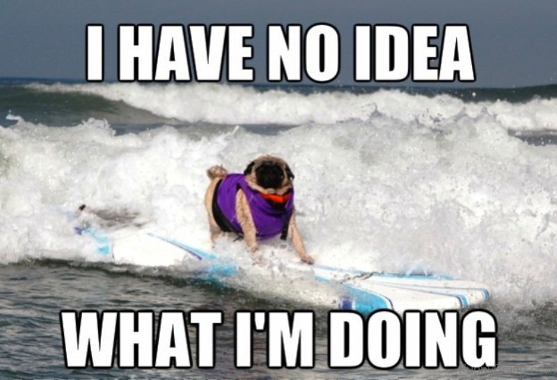Pug surfing in the ocean photo with a text.