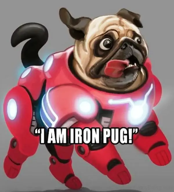 an artwork of a Pug wearing an Iron man suit with a text 