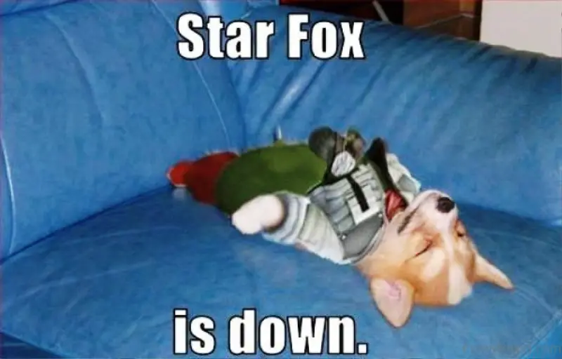 Corgi puppy lying down on the couch in its starfox costume photo with text - Star Fox is down