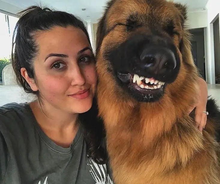 A woman taking a selfie with her smiling German Shepherd Dog