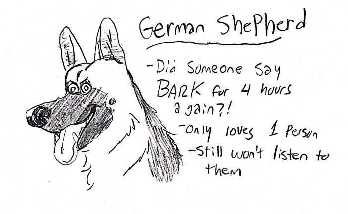 A hand drawing of a german shepherd with handwritten German Shepherd- Did someone say bark for 4 hours again?!, only loves 1 person, still won't listen to them.