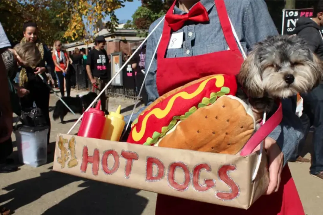 a woman in waitress outfit holding a tray with a shih tzu in hot dog costume sitting inside