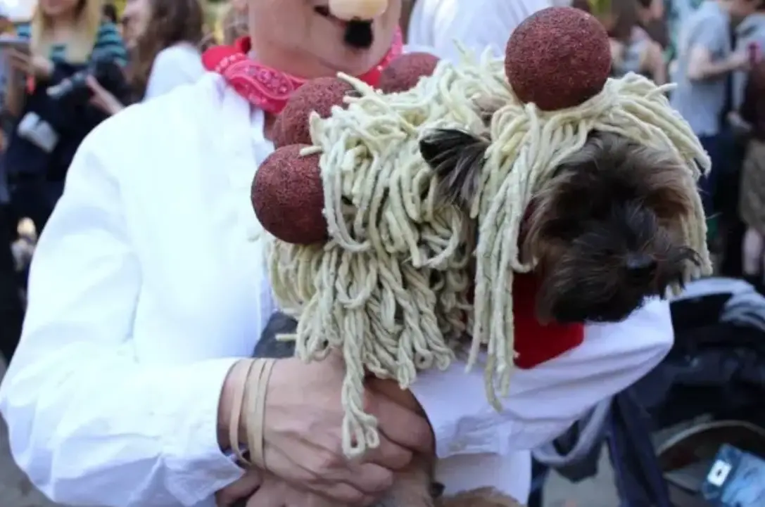 A woman carrying a brown dog in a spaghetti and meatball costume