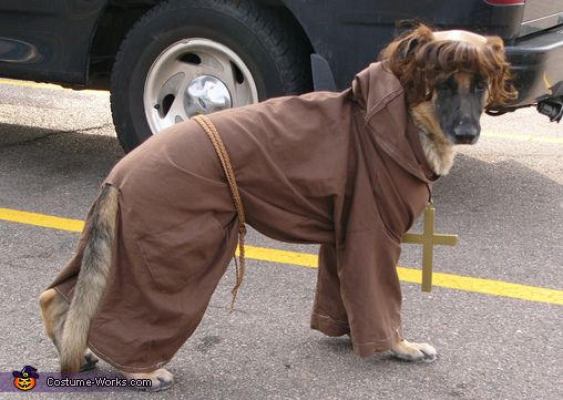 German Shepherd wearing a monk outfit