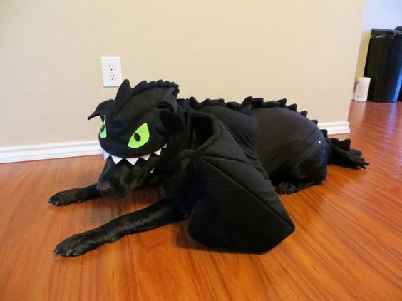 A black Labrador in toothless from how to train your dragon costume while lying on the floor