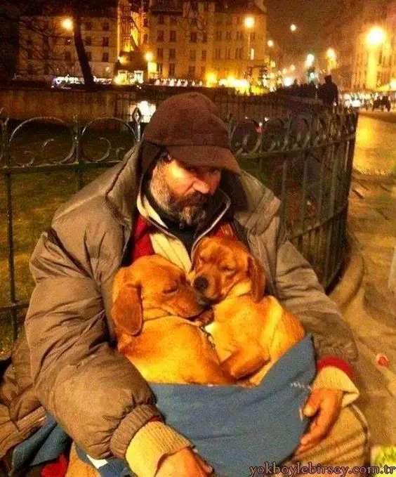 man in the street with two dogs sleeping in his arms