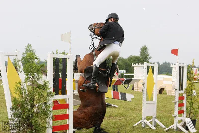 a horse with a rider falling on its back while jumping from a fence