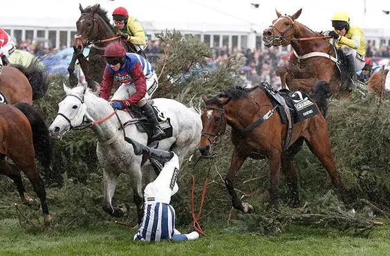 a rider fall on its face from a horse