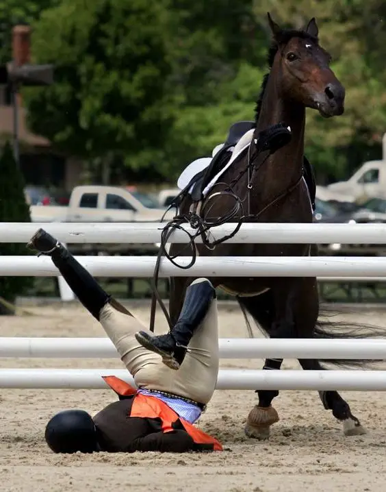 a rider fall outside the fence from the horse
