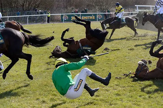 a rider falling from a horse while riding in the field
