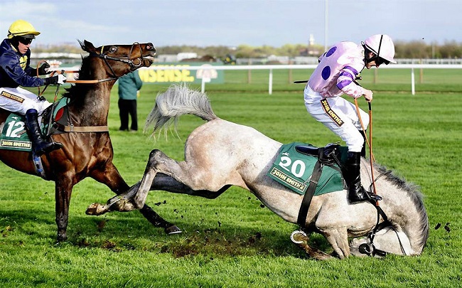 a horse falling on its face while running in the field