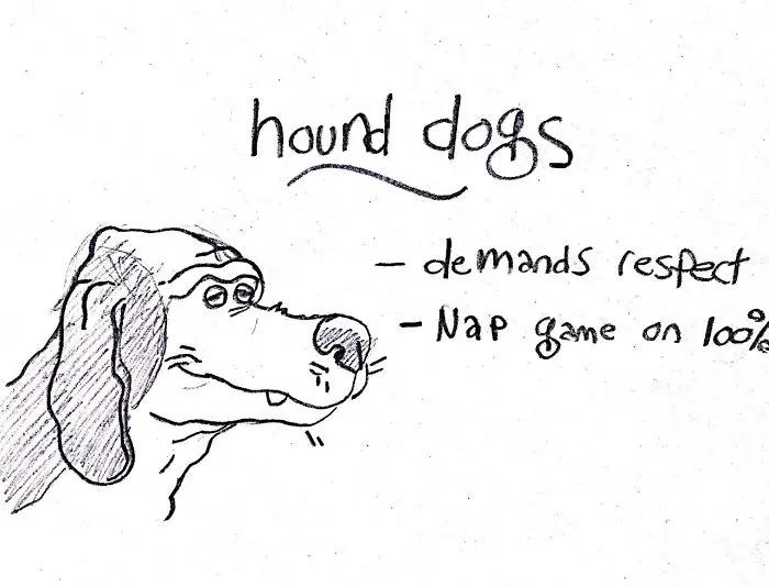 A hand drawn face of a Basset Hound dog with handwritten - hound dogs- demands respect, nap game on 100%