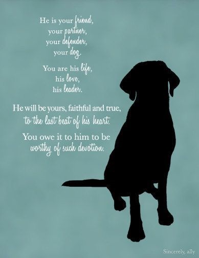 sitting Labrador Dog silhouette and a text 