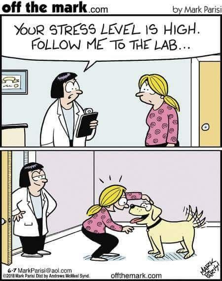 girl and doctor cartoon scenario 