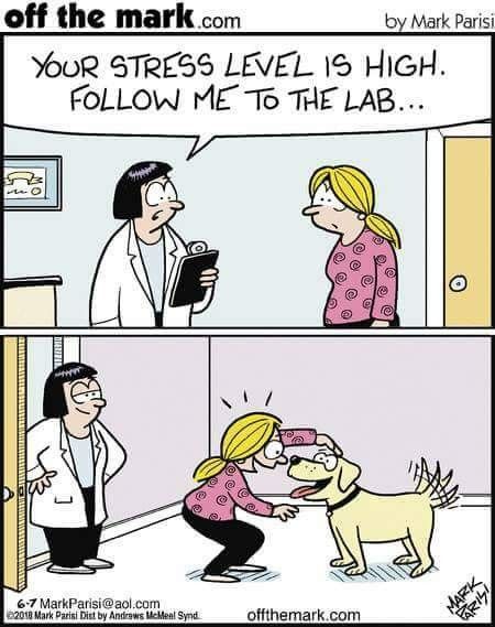girl and doctor cartoon scenario 
