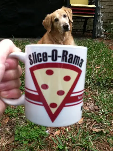 A Golden Retriever behind the cup of coffee being held by a woman