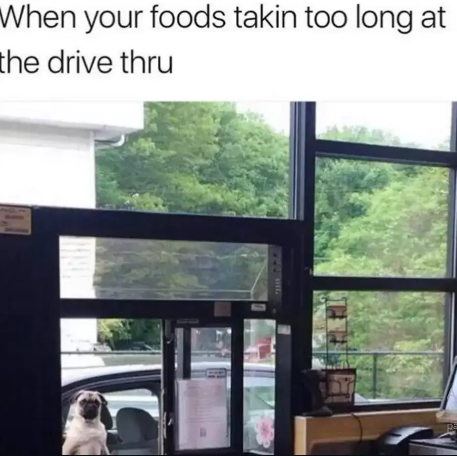 Pug standing up against the car window while staring with its grumpy face photo with a caption 