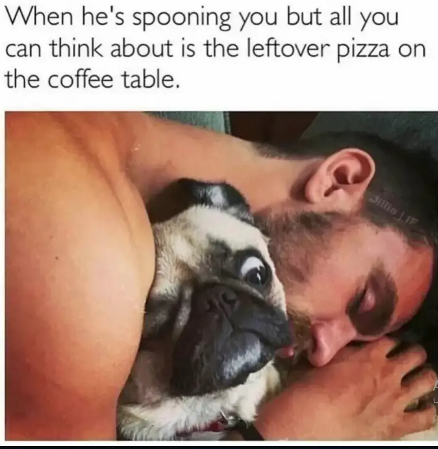 a man hugging a pug while his staring at something with his big eyes photo with a caption 