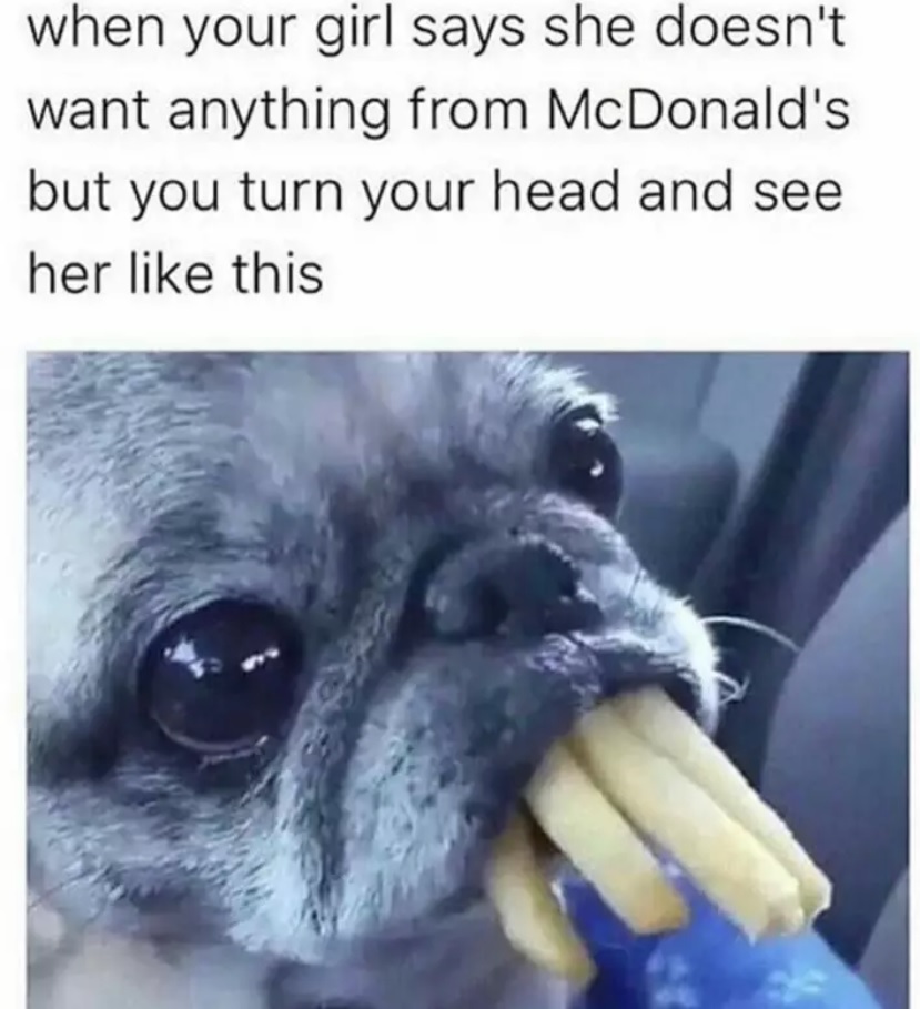 Pug with a bunch of fries in its mouth photo with a caption 