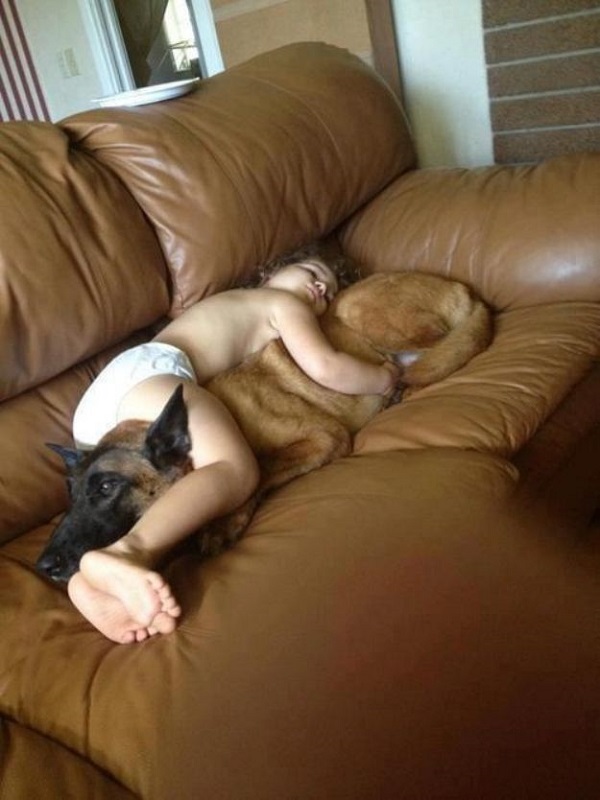 A German Shepherd Dog lying on the couch with a kid hugging him while sleeping