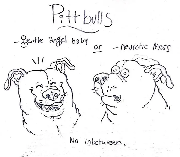a hand drawn face of a smiling and scared pit bull with hand written - gentle angel baby or neurotic mess, no in between.