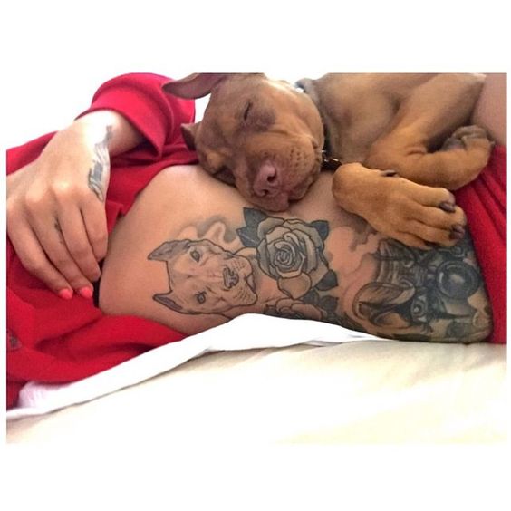 A Pit Bull lying on the stomach of a woman with a Pit Bull with flowers tattoo on the side of her body while lying on the bed