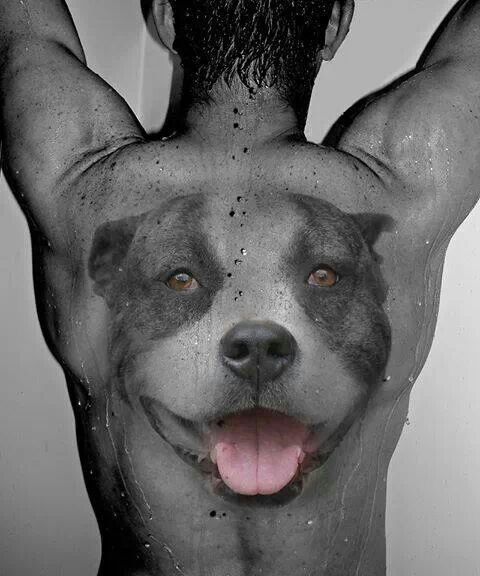 A black and gray photo of a man in the shower with a large face of a Pit Bull tattoo on its back
