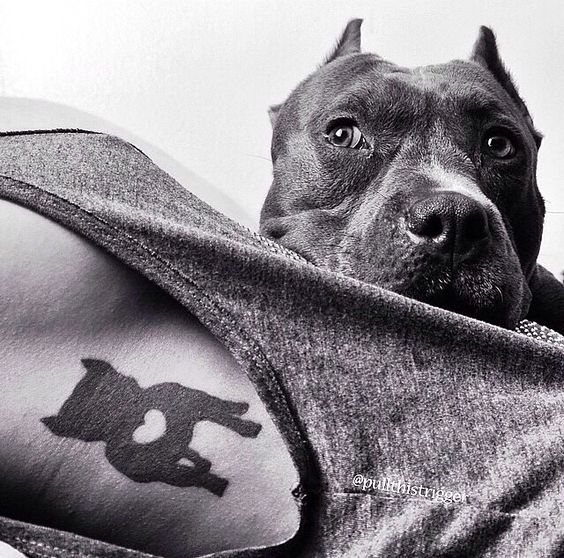 pitbull silhouette tattoo