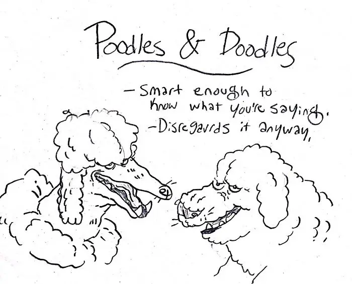 a hand drawn faces of Poodle and doodle with handwritten - Poodles and doodles- smart enough to know what you're saying, disregards it anyway. 
