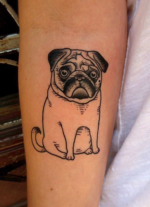 outline of Pug Tattoo on forearm