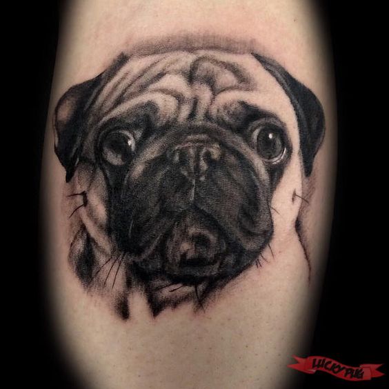 3D face of Pug Tattoo on leg