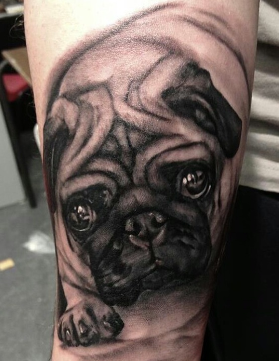 close up face of Pug Tattoo on thigh