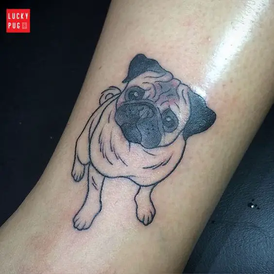 outline of sitting Pug Tattoo on the ankle