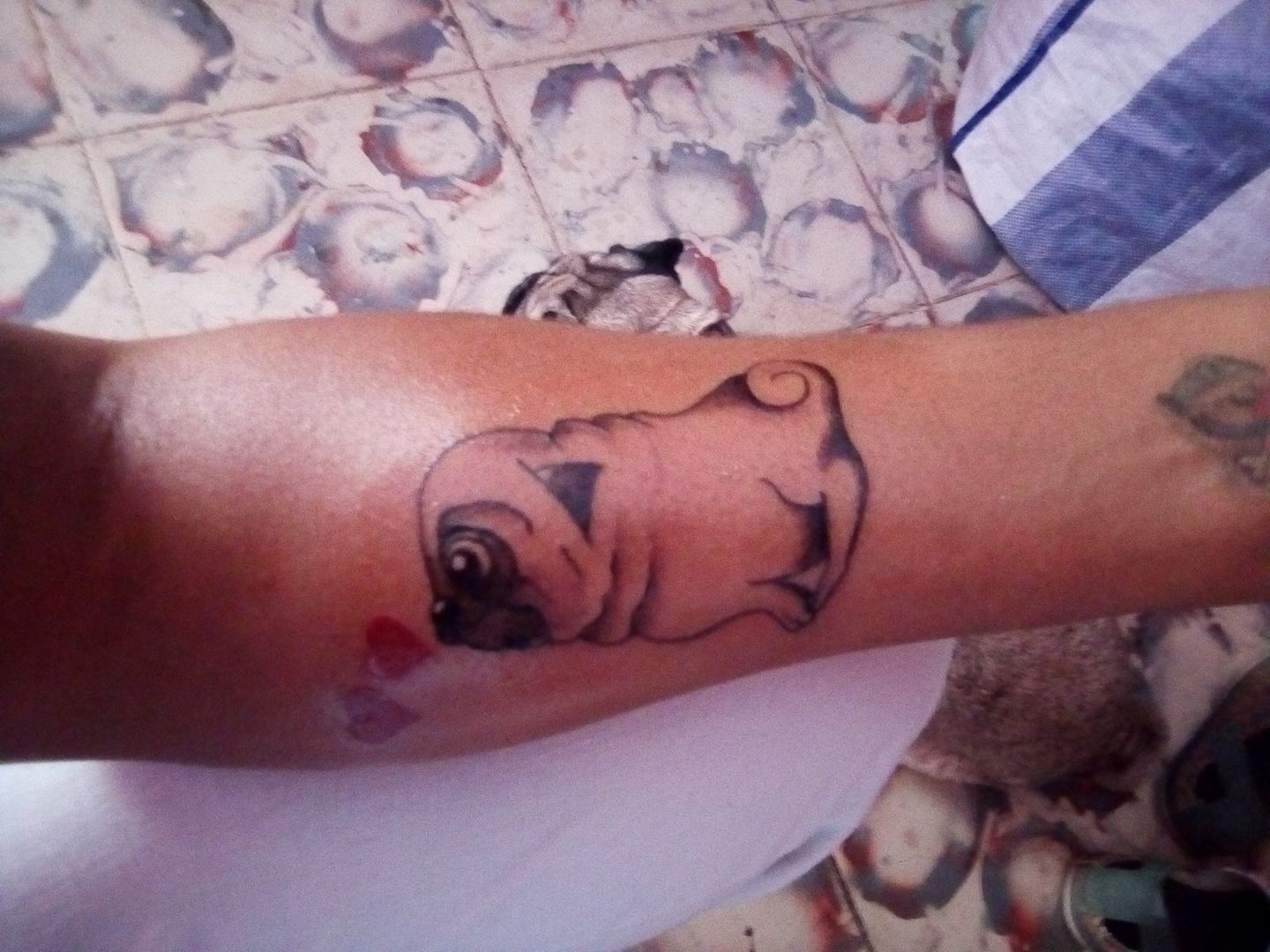 Pug giving kiss hearts Tattoo on forearm