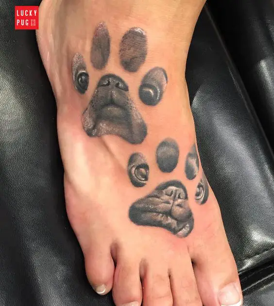 face of Pug in paw print Tattoo on foot