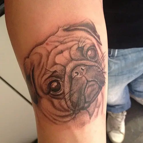 3D face of Pug Tattoo on forearm