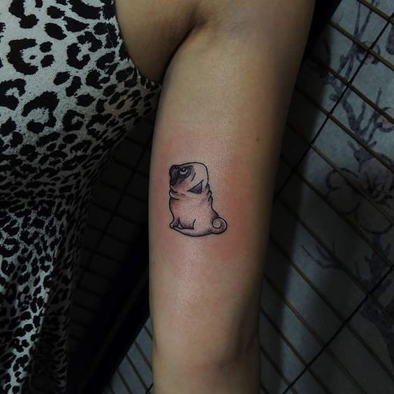 sitting Pug while looking up Tattoo on forearm