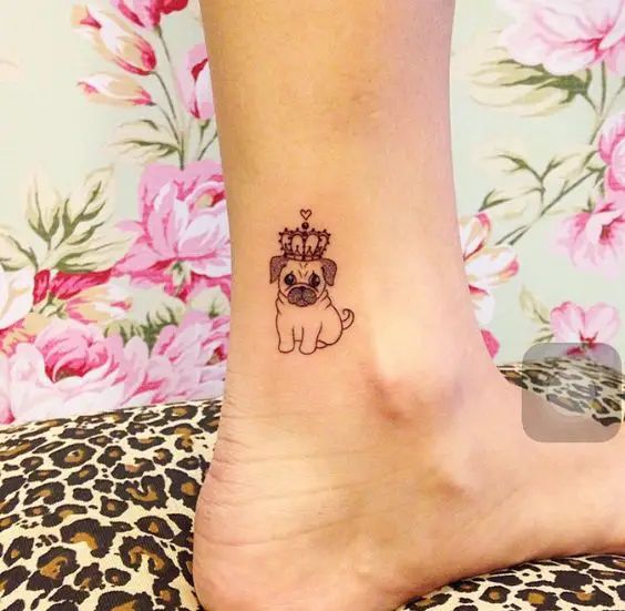 small pug wearing a crown tattoo on the ankle