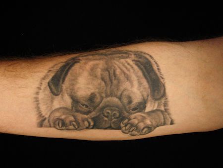 Pug lying down Tattoo on forearm