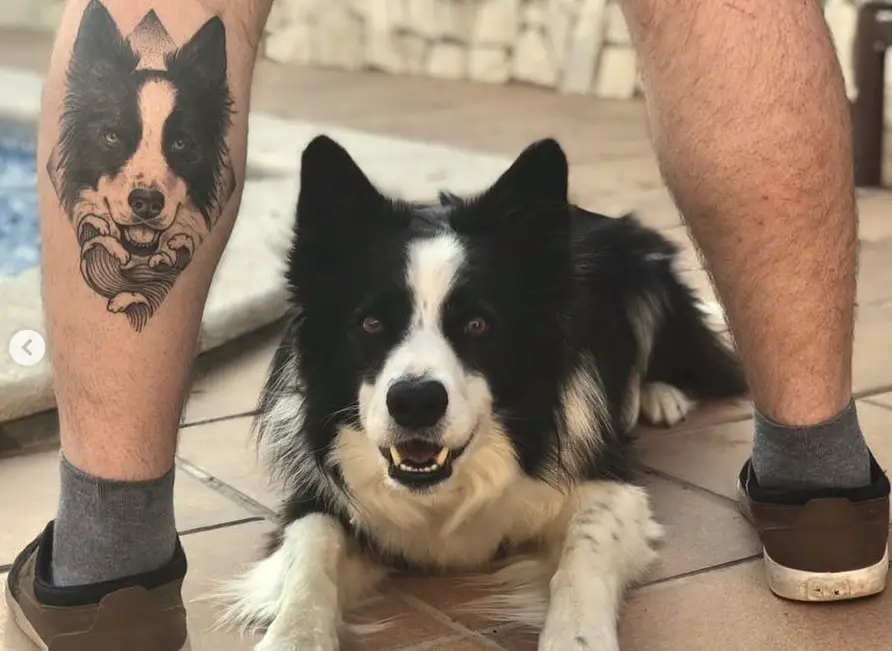 a man with the face of his border collie tattooed on his leg standing by the pool with his Border Collie dog lying in between his legs