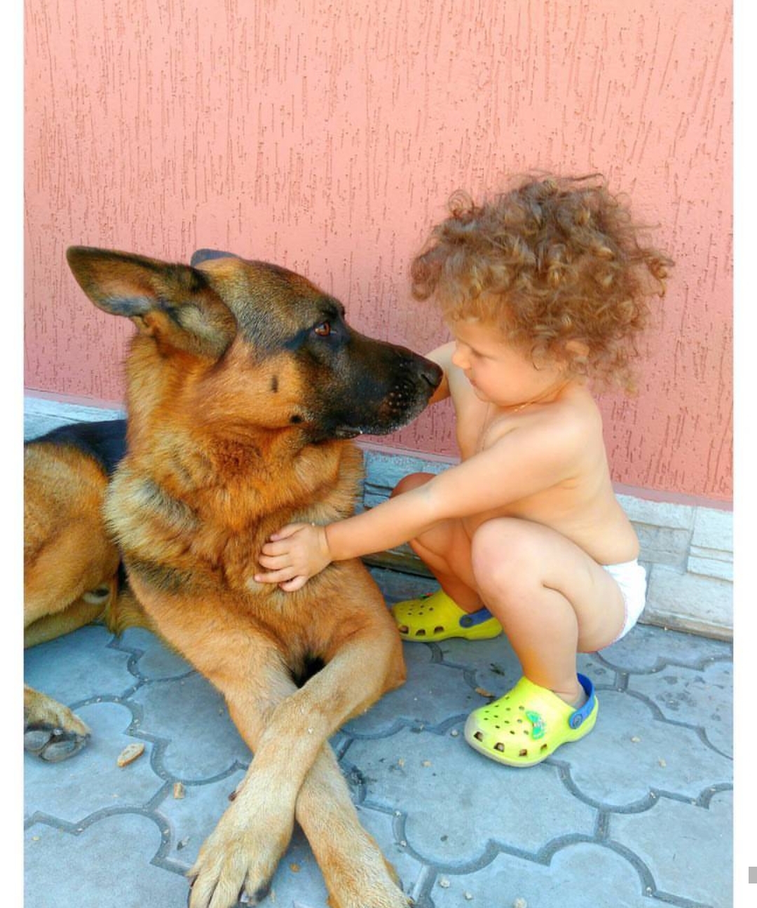 German Shepherd dog lying down on the floor while staring at the kid next to him trying to hug him