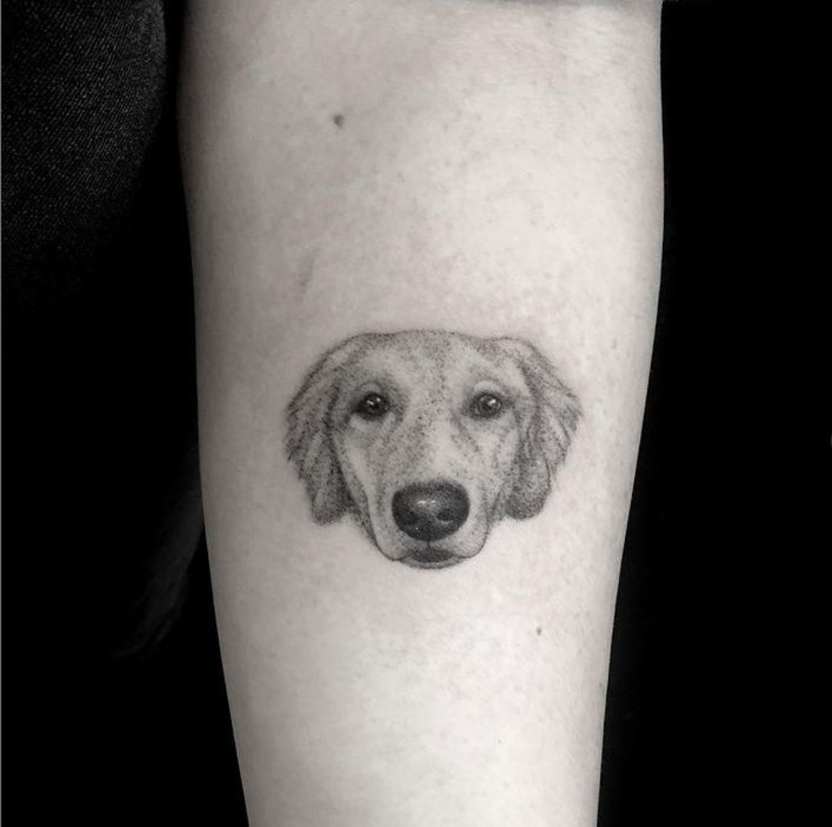 small face of Golden Retriever tattoo on the forearm