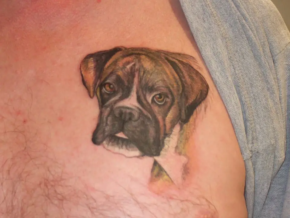 face of Boxer dog small Tattoo on the chest