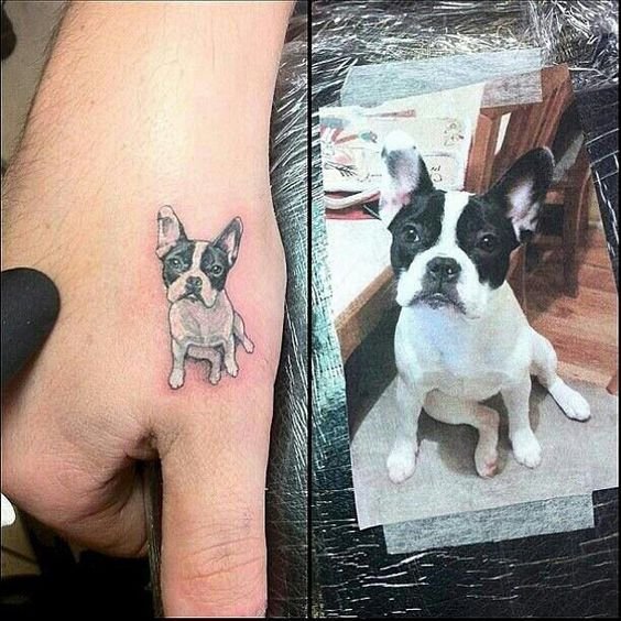 small sitting Boston Terrier tattoo on the hand