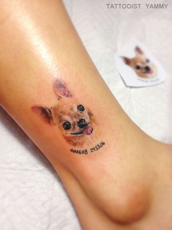 face of Chihuahua tattoo on the ankle