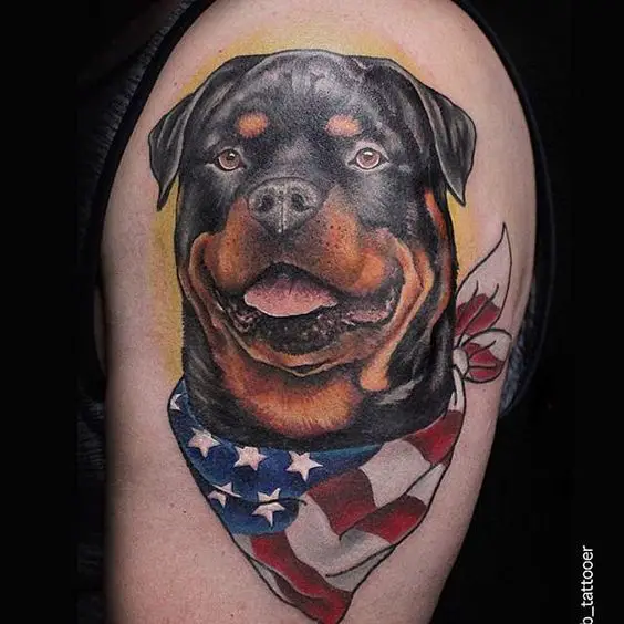 realistic face of Rottweiler with USA scarf Tattoo on the shoulder