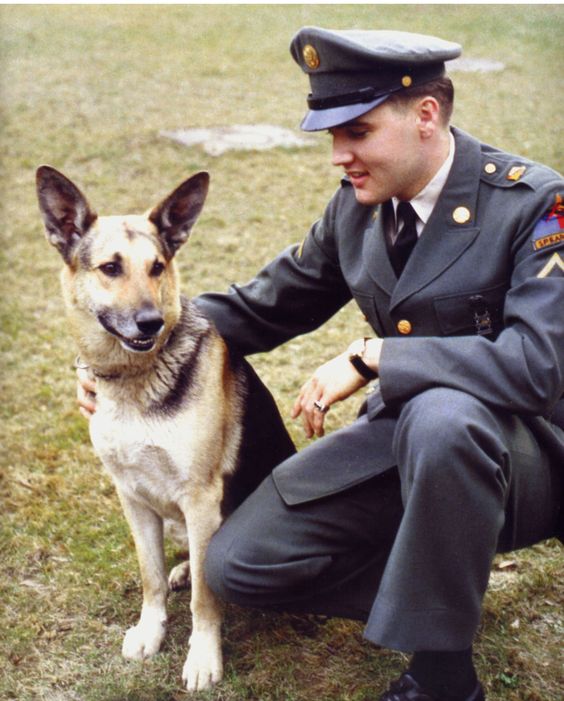 Elvis Presley with his German Shepherd